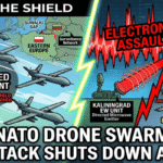 Probing the Shield: The NATO Drone Swarm Cyberattack