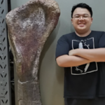 Southeast Asia's Largest Dinosaur Discovered in Thailand
