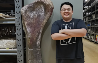 Southeast Asia's Largest Dinosaur Discovered in Thailand
