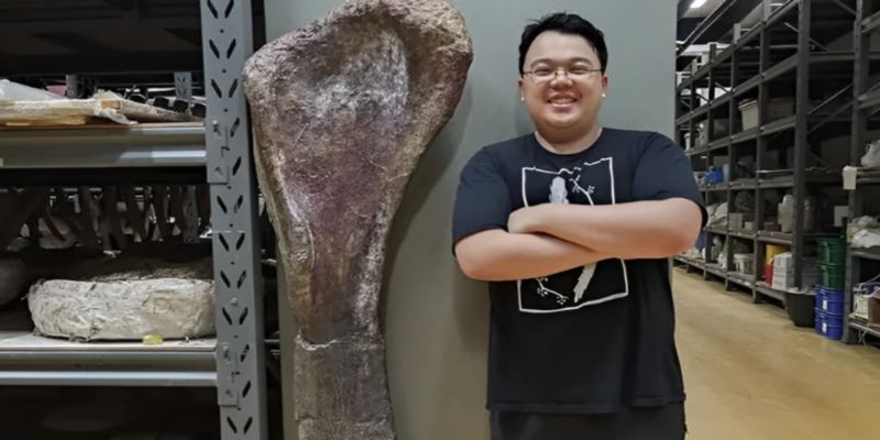 Southeast Asia's Largest Dinosaur Discovered in Thailand